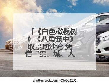 《白色橄榄树》《八角笼中》取景地沙湾 凭借“景、城、人”火爆出圈丨新闻发布最前线