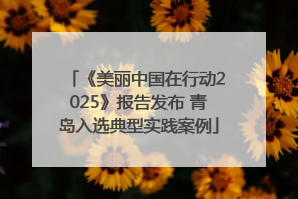 《美丽中国在行动2025》报告发布 青岛入选典型实践案例