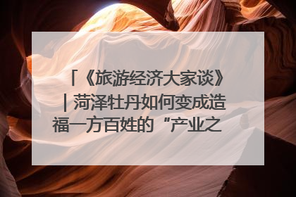 《旅游经济大家谈》｜菏泽牡丹如何变成造福一方百姓的“产业之花”“富民之花”？