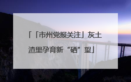 「市州党报关注」灰土渣里孕育新“硒”望