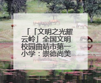 「文明之光耀云岭」全国文明校园曲靖市第一小学：崇德尚美 用心育人