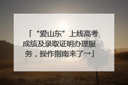 “爱山东”上线高考成绩及录取证明办理服务，操作指南来了→
