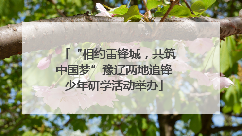 “相约雷锋城，共筑中国梦”豫辽两地追锋少年研学活动举办