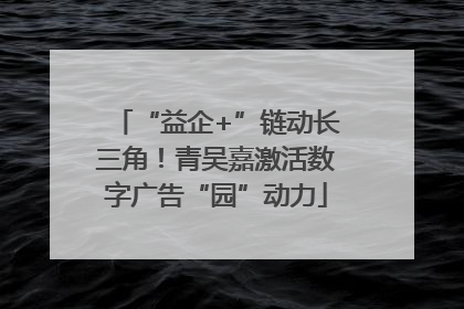 “益企+”链动长三角！青吴嘉激活数字广告“园”动力