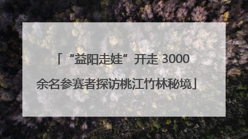 “益阳走娃”开走 3000余名参赛者探访桃江竹林秘境