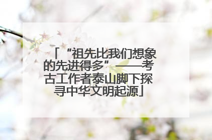 “祖先比我们想象的先进得多”——考古工作者泰山脚下探寻中华文明起源