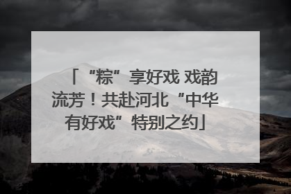 “粽”享好戏 戏韵流芳！共赴河北“中华有好戏”特别之约