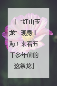 “红山玉龙”现身上海！来看五千多年前的这条龙