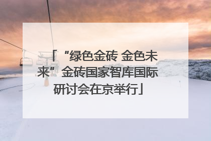“绿色金砖 金色未来”金砖国家智库国际研讨会在京举行