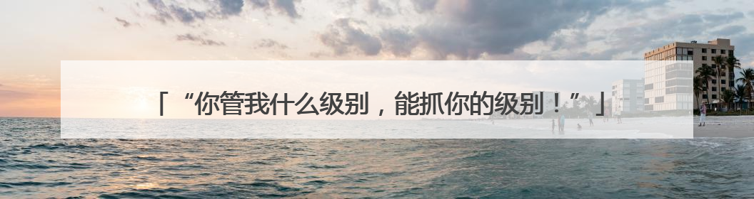 “你管我什么级别，能抓你的级别！”