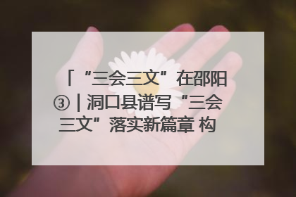 “三会三文”在邵阳③｜洞口县谱写“三会三文”落实新篇章 构建协同联动大格局