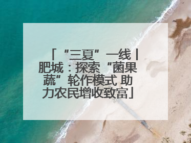 “三夏”一线丨肥城：探索“菌果蔬”轮作模式 助力农民增收致富