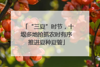 “三夏”时节，十堰多地抢抓农时有序推进夏种夏管