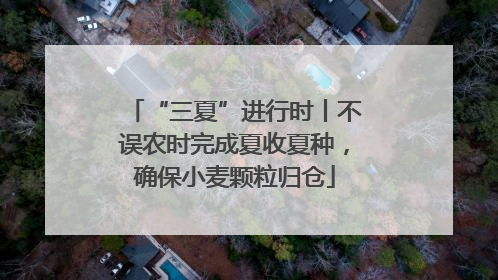 “三夏”进行时丨不误农时完成夏收夏种，确保小麦颗粒归仓