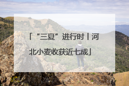“三夏”进行时丨河北小麦收获近七成