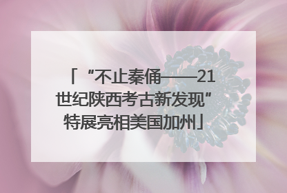 “不止秦俑——21世纪陕西考古新发现”特展亮相美国加州
