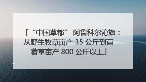 “中国草都” 阿鲁科尔沁旗：从野生牧草亩产 35 公斤到苜蓿草亩产 800 公斤以上