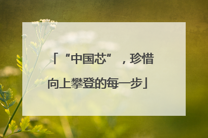 “中国芯”，珍惜向上攀登的每一步