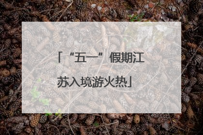 “五一”假期江苏入境游火热