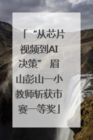 “从芯片视频到AI决策” 眉山彭山一小教师斩获市赛一等奖