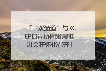 “双通道”与RCEP口岸协同发展推进会在怀化召开
