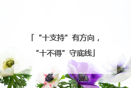 “十支持”有方向，“十不得”守底线