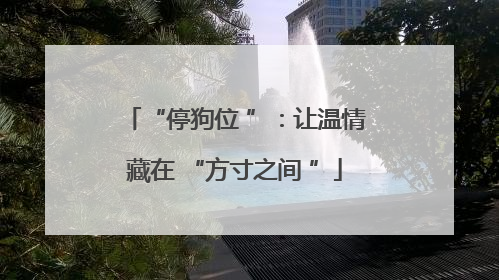 “停狗位 ”：让温情藏在 “方寸之间 ”