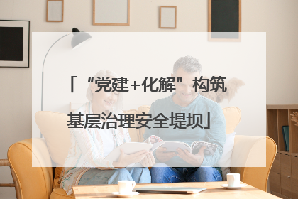 “党建+化解”构筑基层治理安全堤坝
