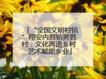 “全国文明村镇”翔安内厝镇黄厝村：文化再造乡村 艺术赋能乡业