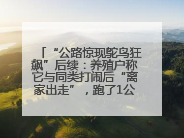 “公路惊现鸵鸟狂飙”后续：养殖户称它与同类打闹后“离家出走”，跑了1公里被找回