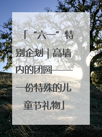 “六一”特别企划｜高墙内的团圆——一份特殊的儿童节礼物