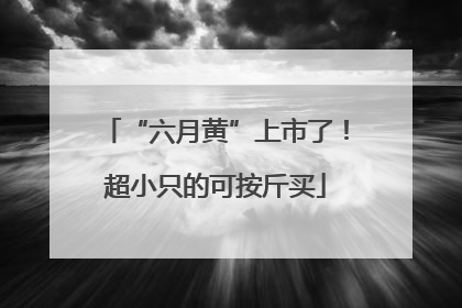 “六月黄”上市了！超小只的可按斤买