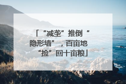 “减垄”推倒“隐形墙”，百亩地“捡”回十亩粮