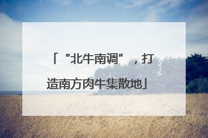 “北牛南调”，打造南方肉牛集散地