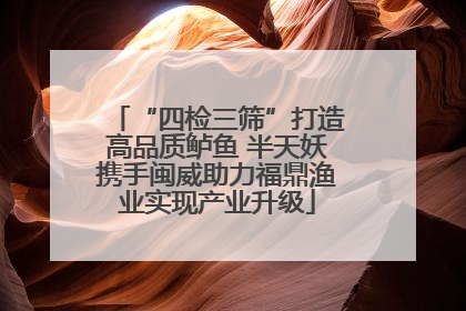 “四检三筛”打造高品质鲈鱼 半天妖携手闽威助力福鼎渔业实现产业升级