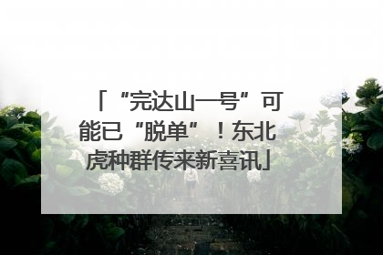 “完达山一号”可能已“脱单”！东北虎种群传来新喜讯