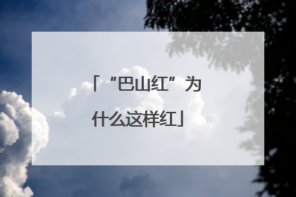 “巴山红”为什么这样红