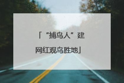 “捕鸟人”建网红观鸟胜地