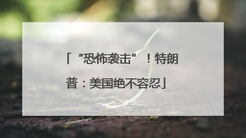 “恐怖袭击”！特朗普：美国绝不容忍