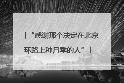 “感谢那个决定在北京环路上种月季的人”