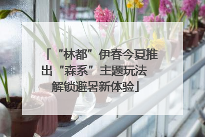 “林都”伊春今夏推出“森系”主题玩法 解锁避暑新体验