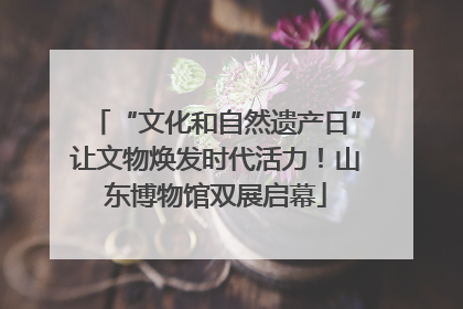 “文化和自然遗产日”让文物焕发时代活力！山东博物馆双展启幕