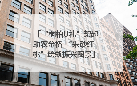 “桐柏U礼”架起助农金桥 “朱砂红桃”绘就振兴图景