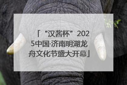“汉酱杯”2025中国·济南明湖龙舟文化节盛大开幕