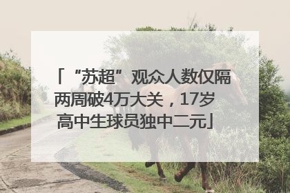 “苏超”观众人数仅隔两周破4万大关，17岁高中生球员独中二元
