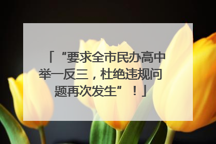 “要求全市民办高中举一反三，杜绝违规问题再次发生”！