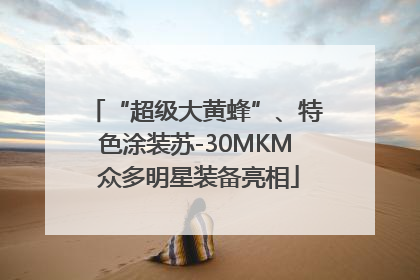 “超级大黄蜂”、特色涂装苏-30MKM 众多明星装备亮相