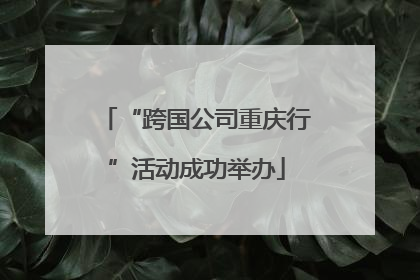 “跨国公司重庆行”活动成功举办