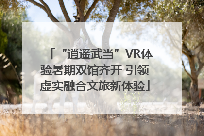 “逍遥武当”VR体验暑期双馆齐开 引领虚实融合文旅新体验