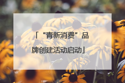 “青新消费”品牌创建活动启动